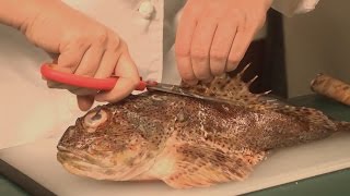 How to Cook Sculpin [upl. by Ahsiym]