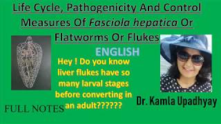 Fasciola hepatica Fasciola hepatica life cycle Flat worm Liver Fluke Fluke Liver rot [upl. by Armitage]