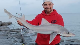 FISH A CAST great session the sea lawns Ogmore south Wales [upl. by Marlie]