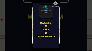 Mechanism of action of chloramphenicol pharmacologymcq antimicrobial neet pharmacology [upl. by Reitrac633]