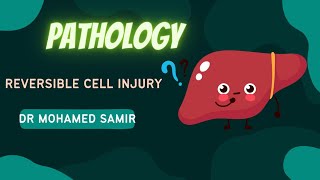 Reversible cell injury [upl. by Eliam]