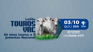 Lote 22 ECIANO PONTAL VR VRC 9041 zap [upl. by Marquis]