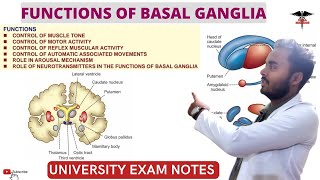 Functions of Basal Ganglia Connection of Basal Ganglia  CNS Physiology [upl. by Aryk569]