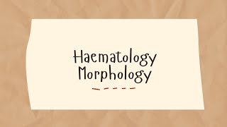 Haematology Morphology  Case 2 [upl. by Asalocin21]