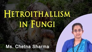 Heterothallic in Fungi  Biology Lecture  Asst Prof Chetna Sharma [upl. by Ieso]