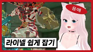 젤다 뉴비를 위한 쉽게 라이넬 잡는 꿀팁🍯🍯 [upl. by Kreitman]