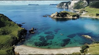 Explore the Coromandel Peninsula with Dive Zone Whitianga [upl. by Aserret787]