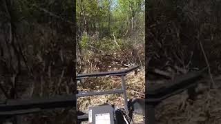 Disc mulcher swallows trees and brush POV mulcher skidsteerattachments POV [upl. by Feetal]