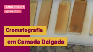 CROMATOGRAFIA EM CAMADA DELGADA  VÍDEO SEM SOM [upl. by Assanav]