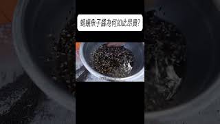 螞蟻魚子醬為何如此昂貴科普 漲知識 [upl. by Gibby]