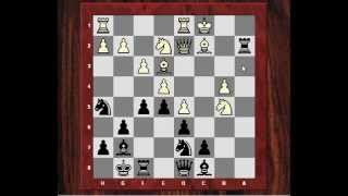 Jan Timman vs Garry Kasparov  Linares 1992 [upl. by Hpsoj]