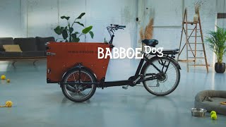 The Babboe Dog [upl. by Lydnek]