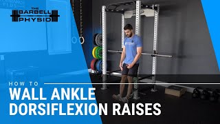 Wall Ankle Dorsiflexion [upl. by Stesha261]