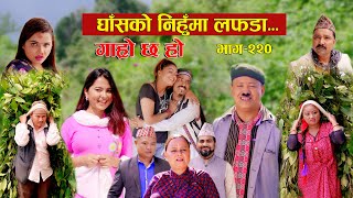 घाँसको निहुमा लफडा IIGaro Chha HoII Epi 220IISept 16 2024 IIBegam Sundari Nawina Binod Rajkumar [upl. by Layol235]