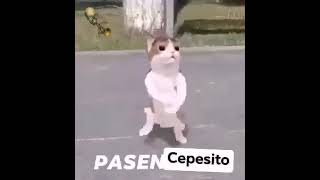 PASEN CEPESITO [upl. by Meit]