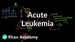 Acute leukemia  Hematologic System Diseases  NCLEXRN  Khan Academy [upl. by Anilegna]