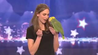 America’s Got Talent Parrot singing over the rainbow [upl. by Ahsenat]