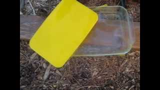 Melting Processing amp Cleaning Beeswax Cappings The Easy Way [upl. by Watkin602]