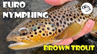 Euro Nymphing the Provo  WINTER Fly Fishing [upl. by Anaya301]