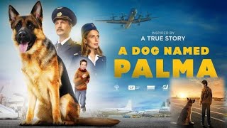 A Dog Named Palma Full Movie Hindi Dubbed Facts [upl. by Raquela321]