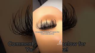 Lash Extensions How to do Volume Lashes  EYELASH TRAINING [upl. by Laurita]