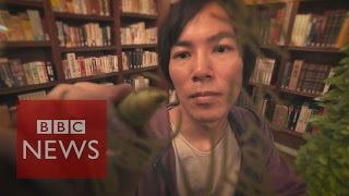 Manga artist Hajime Isayama reveals his inspiration  BBC News [upl. by Dnalsor401]