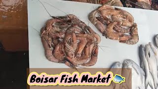 Boisar Fish Market l Wholesale Fish Market l Fish Market l Palghar Boisar Market l Biggest Market [upl. by Allevon720]