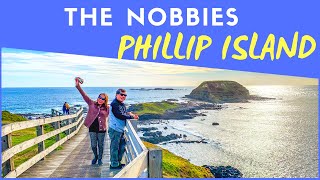 Exploring the Nobbies Phillip Island [upl. by Tillio]