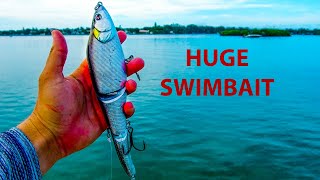 Using HUGE Swimbaits in Saltwater for BIG Fish [upl. by Yrrum]