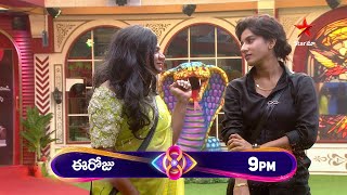 Bigg Boss Telugu 8  Day 70  Promo 1  Unforgettable Hilarious Moments 🤣 Nagarjuna  Star Maa [upl. by Elrebma]