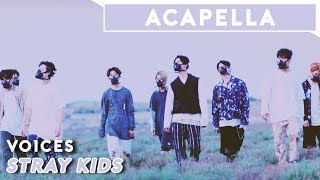 Stray Kids  Voices  Acapella [upl. by Jessalyn297]