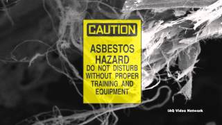 Malignant Mesothelioma amp Asbestos [upl. by Pufahl]