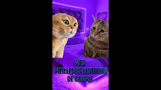 Histoires 2 Chats  Mes MEILLEURS HISTOIRES de COUPLES [upl. by Beryl909]