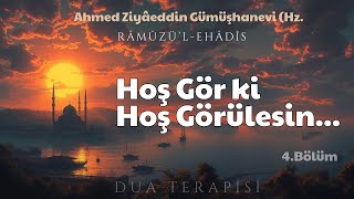 Hoş Gör ki Hoş Görülesin  Ahmet Ziyaeddin Gümüşhanevi Hz  Sesli Kitap [upl. by Sorilda]