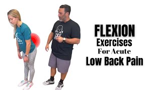 Acute Low Back Pain Relief  FLEXION Based Exercises [upl. by Tosch]