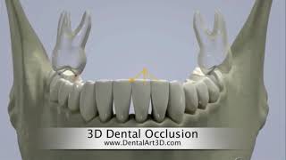 Occlusion dentaire  Orthodontie Strasbourg [upl. by Ellennaj]