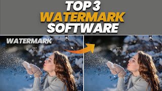 How To Remove Watermark From Videos Or Photos  Best Top 3 Watermark Remover [upl. by Vilberg980]