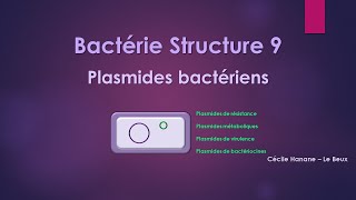 Bactérie Structure 9 MATERIEL GENETIQUE  PLASMIDES sans musique de fond [upl. by Motch]