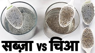 Chia Vs Basil Seeds For Weight Loss  Basil Vs Chia Seeds  Sabja Vs Chia seeds [upl. by Aeet]