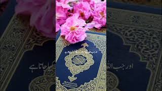 quranlovers qariilyas islamicscripture youtubeshorts unfrezzmyaccount quransurah [upl. by Cirdec]