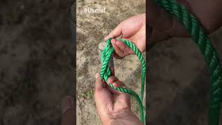 Easiest way to tie Constrictor Knot  Simple but works [upl. by Atnuahsal896]