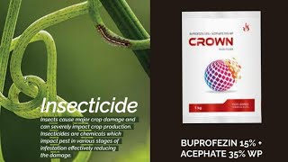 Buprofenzin 15Acephate 35WP  INSECTICIDE SUCKING PEST CONTROL hopper control [upl. by Regni257]