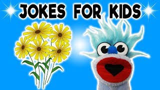 FUNNY FLOWER JOKE  JOKES FOR KIDS Pilgrims Mayflower Flower Joke Rain FUNNY Sock Puppet [upl. by Puri]