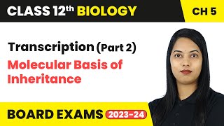 Transcription Part 2  Molecular Basis of Inheritance  Class 12 Biology Chapter 5  CBSE 202425 [upl. by Ssur13]