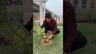 Planting 1 Lakh Trees 🌳 shortsfeed socialwork treeplanting [upl. by Maxine]