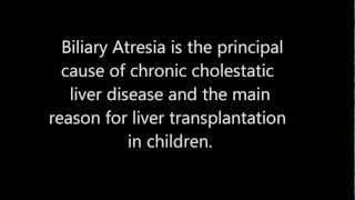 Biliary Atresia a rare and deadly childhood liver disease [upl. by Argent]