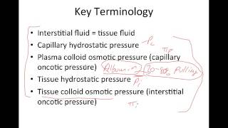 Capillary Fluid Dynamics [upl. by Erbua]