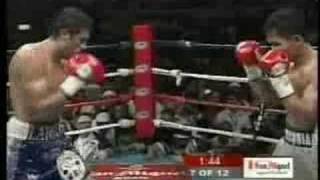 PACQUIAO VS LARIOS Round 7 [upl. by Ayerhs]