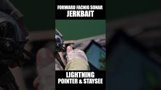 Forward Facing Sonar Jerking with Lightning Pointer amp Staysee 【02 03 04 05 06 07 08 09 10】 [upl. by Towers747]