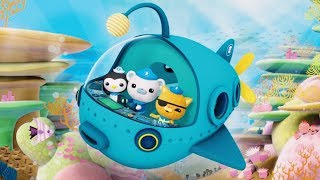 The Octonauts Full Episodes English The Octonauts Underwater Animals For Kids Cartoons [upl. by Tzong]